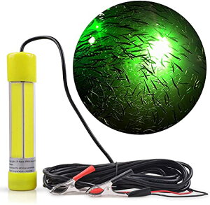 W ledW WCg 20W 12v 24vp x120LEDs 6MdR[h [|[`t O[