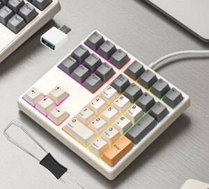 Levieny JjJeL[ 34L[ vO}u&}NL[{[h [L/USB Type-CΉ] [QMK/VIAJX^}CY] [RGB/zbgXbv/PBT] [PCEm[gPCp] vm/Q[}[ȗ͐݌v L