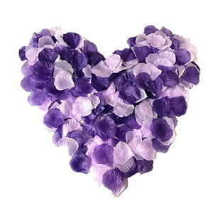 RuiChy 2000 KN   ỏԂт v|[Y   EGfBO a j oɃ[Y p[eB[ NX}X Be o p[eB[p (2Fx1000) _[Np[