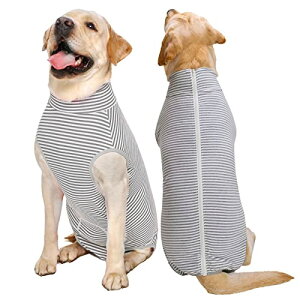 KUVEELA PET p㕞  p㕞 pEFA pJo[ ی앞 앞 D  ی 畆a ^ ^iO[XgCv XLj