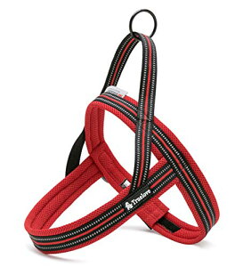 J&C Paradise ȒP n[lX {KX p SȂ 3M lC ȒP v X|[c TRUELOVE (XS, bh)