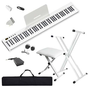 ydqsAmZbgzjR}N NikoMaku dqsAm 88 SWAN-S X^ht ֎qt Zbg {\L MIDIΉ RpNg y XfUC [d^ S \tgP[X y_ ʑ