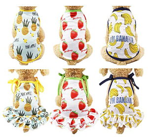 ӂ  ʋCbV^TVc X|[c UoEFA tĕ hbOEFA xXg Ăh Eѕی (M, oii TVc)