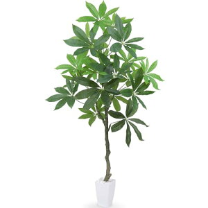 Heruiwin lHϗtA tFCNO[ upL 120cmv ϗt CeAO[ G} L ItBX z[  fR[V