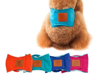 ӂ Ȑ ybgp }i[pc  }i[xg j̎q j̎qpIc   V  点h Y(1,F_) (L)