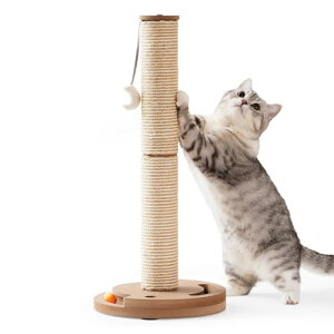 Pettom ߂Ƃ L Lbg|[ ܂݂|[ t XgX KK|[ XNb`[ ˂ ܂Ƃ (60cmx[W)