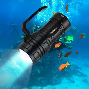 Wurkkos DL06 _CrOCgA15000[ LED dA[dxA100°r[pxCgA6LEDAIPX8h_CrO100md(6000K)