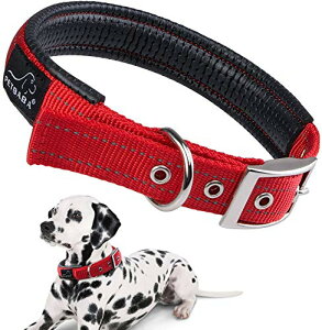 PETBABA(ybgoo) v p ^ ^  U/g[jOɕ֗ \tg Rbgn obN \ ybgp x[VbN (bh)