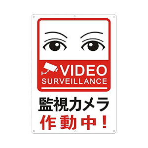 kristens ڂhƗp ĎJ Ŕ ĎJ쓮 Ŕ sR҂ւ̌x UVی삳ꂽ&OΉ h 35cm×25cm Op (bh)