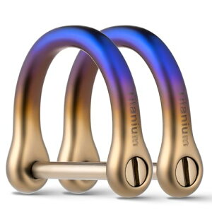 [TISUR] �L�[�����O �`�^�� D�����O �L�[�z���_�[ D�J�� �X�}�[�g�L�[�p�� �L�[�`�F�[�� �����h�~ �V���b�N�� ���̂���\�� (�`�^�� D�����O ���F/L*2��)