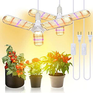SINJIAlight �A���琬���C�g 2�Z�b�g 100W���� E26���� �\�P�b�g�t�� �d���R�[�h�t�� ��c���C�g �g�F�n �t���X�y�N�g�� ���k�͔| �����͔|�p �ƒ�؉� �A���H��ȂǏꍇ�ɓK�����܂�