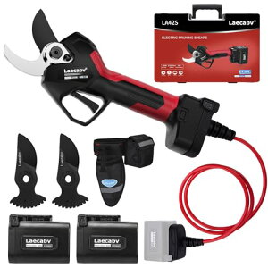 Laecabv d a42mm [^[ [d ƕt tʂŐ؍񐔊mF {SK-5|n ʎ/ے뙒 2Nۏؕt 2025H̙