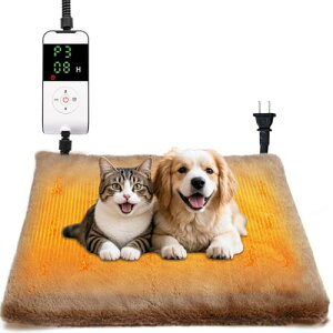 Codify ybgpzbgJ[ybg ybgpq[^[ 7iK^C}[ti2/4/6/8/12/24H/ONj8iKx قƃJ[ybg L ybg q[^[  ݕȑ΍ R[hSgZǕtiS2m