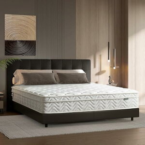 Z-HOM NC[ Ɍ26cm}bgX xbh}bgX |PbgRC ̈U ʋC k 2.0mmXvO̗p }bgXdߌł k}bgX ̂̃C