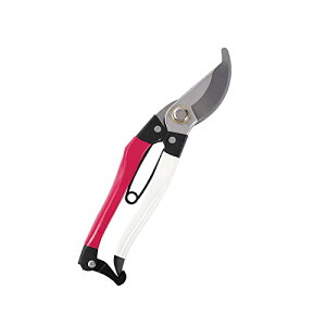 Rich Reach  oT~ ΂ |p͂ XeXu[h K[fjO }؂͂ y ~