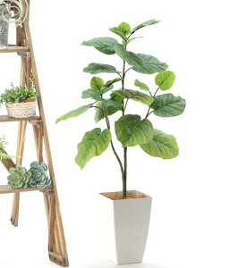 bԃhbgR yiz  _`^ G}tFCNO[utBJX Ex[^ 90cm 50cm s40cmv yp|bgƃV̑@ەtz92106