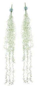 Kugusa GAvc GA[vc  tFCNO[ Ǌ| ݂艺 lH ϗtA CeA  (XpjbVX)