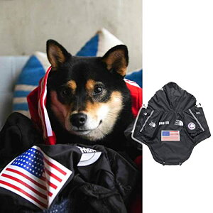 REEYAM hbOEFA p CR[g J Jbp }WbNe[v t[ht ˃e[v EȒP   [hL St ~J΍ ^ ^ ^ ʋC  