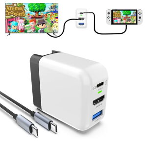 �y���{���K�i�zBasicolor Switch �h�b�N�[�d�� �Q�[�������ɏ[�d Switch�[�d�� �V�����̑f��GaN �^�C�vC�[�d�� �����[�d��(USB3.1/ HDMI/ USB2.0 3�̃C���^�[�t�F�[�X) HDMI�ϊ��A�_�v�^�[65W�o�� �X�C�b