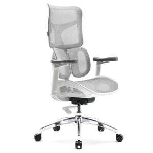 SIHOO S100 �I�t�B�X�`�F�A �֎q �f�X�N�`�F�A �G���S�m�~�N�X �`�F�A�u2024���������w������5�i�K�����������K�������o�[�T�|�[�g��4D�A���A�[�����X�g��95-130°���N���C�j���O���������ʉ��s