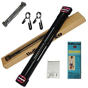 BULLWORKER/�u�����[�J�[XO�\���b�hFB-2216�����I�̔����ӂ�2�_�v���[���gPIO-2216