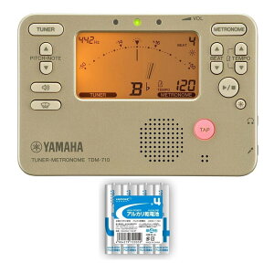 YAMAHA TDM-710GL/P4dr×4{t S[h `[i[/gm[y[֔ESEsz