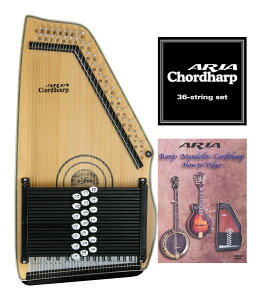 AA ARIA ACH-210S R[hn[v/I[gn[v yzyp+DVDtz