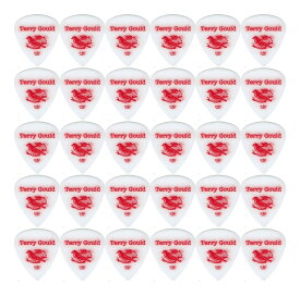 【ピック ×30枚】ピックボーイ PICKBOY Terry Gould GP-TG-TS/06 ×30枚セット 0.6mm サンドグリップ 滑り止め加工 ティアドロップ ギターピック【メール便発送・全国送料無料・代金引換不可】