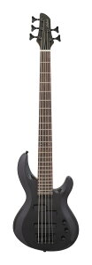 Aria ProII IGB-STD/5B MBK(Metallic Black) 5x[X/P[Xtyzysz
