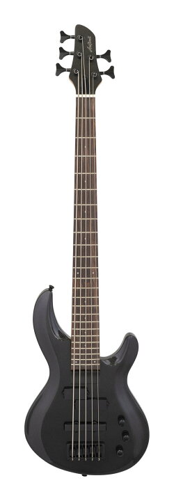 楽天市場】Aria ProII IGB-STD/5B MBK(Metallic Black) 5弦ベース 
