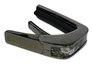 Thalia Capos HUMMINGBIRD/Black Chrome ^A J| LimitedV[Y M^[p J|^Xgyz