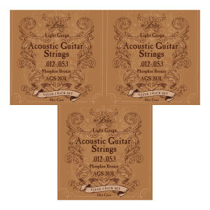 y ×9ZbgzAA Aria AGS-203L ×3pbN(v9Zbg) ARM3ZbgpbN ×3y[֔ESEsz