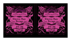 y ×2ZbgzAA ARIA AGS-600 GLx[X[45-100] ×2Zbgy[֔ESEsz