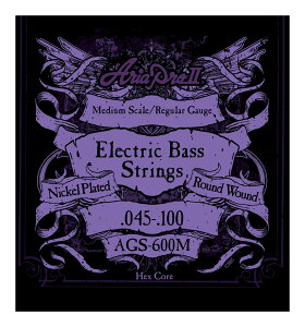 y ×1ZbgzAA ARIA AGS-600M GLx[X[45-100]y[֔ESEsz