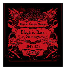 y ×1ZbgzAA ARIA AGS-650 5GLx[X[45-125]y[֔ESEsz