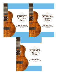 KIWAYA KWLG Low-GPi/3{Zbg [] EN \vm RT[g ei[ ENΉy[֔ESEsz