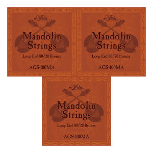 y ×3ZbgzAA ARIA AGS-100MA [10-34] }hy[֔ESEsz