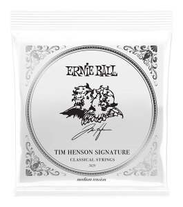 ERNIE BALL 3829 �~�f�B�A���e���V���� Tim Henson �e�B�� �w���\�� Polyphia �|���t�B�A �V�O�l�`���[ �N���V�b�N�M�^�[���y���[���֔����E�S�����������E��������s�z�y�|�C���g2�{�z