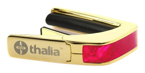 Thalia Capos Pink Angel Wing/24K Gold ^A J| Exotic ShellV[Y M^[p J|^Xgyz
