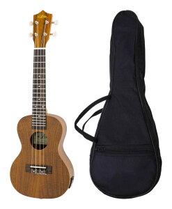 ARIA ACU-1KE/P[Xt RA {fB sbNAbv RT[gENyzy|Cg5{z