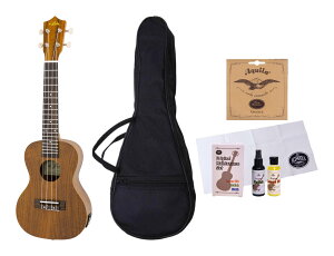 ARIA ACU-1KE/P[X+Zbg+XyAt RA {fB sbNAbv RT[gENyz