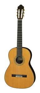 ESTEVE 8 Cdr セダー単板トップ スペイン製 クラシックギター【送料無料】【ポイント5倍】