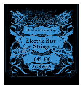 ARIA AGS-600S V[gXP[ GLx[X [45-100] y[֔ESEsz