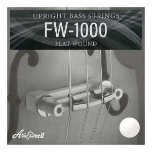 ARIA FW-1000 AA GNgbN AbvCg x[Xp y[֔ESEsz