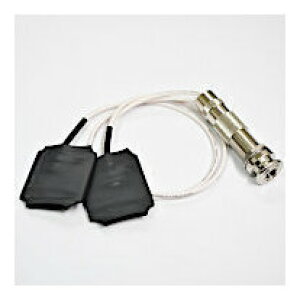 Birdland 119-02-ELD [G{j[LTCY×2] o[hh sG]sbNAbv \^Cvyz