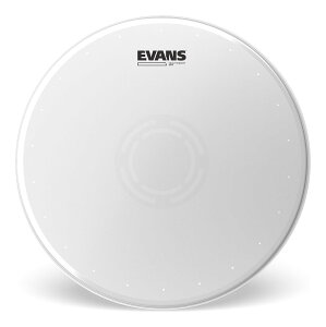 EVANS B14HWD �X�l�A�w�b�h 14�C���` Heavyweight Dry�y���������z�y�|�C���g5�{�z