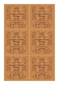 【弦 ×6セット】アリア ARIA AGS-200L ×6セット アコースティックギター弦/ライトゲージ【メール便発送・全国送料無料・代金引換不可】