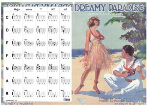 KIWAYA File-04 ENR[h\t NAt@C nCAy[֔ESEsz