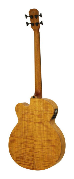 楽天市場】ARIA FEB-F2/FL STBR(Stained Brown) エレクトリック 