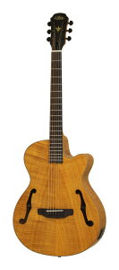 ARIA FET-F2 STBR(Stained Brown) GNgbNEAR[XeBbN M^[ GAR/P[Xtyz